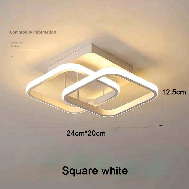 Modern LED Ceiling Light 2 Rings