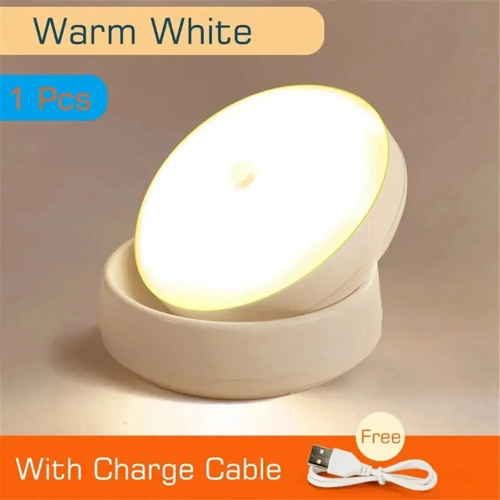 LED Night Light