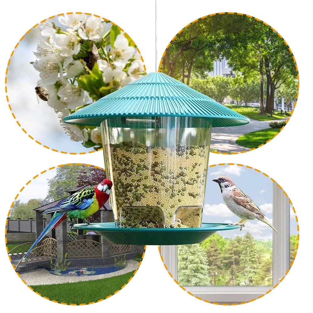 Automatic Feeding Food Container