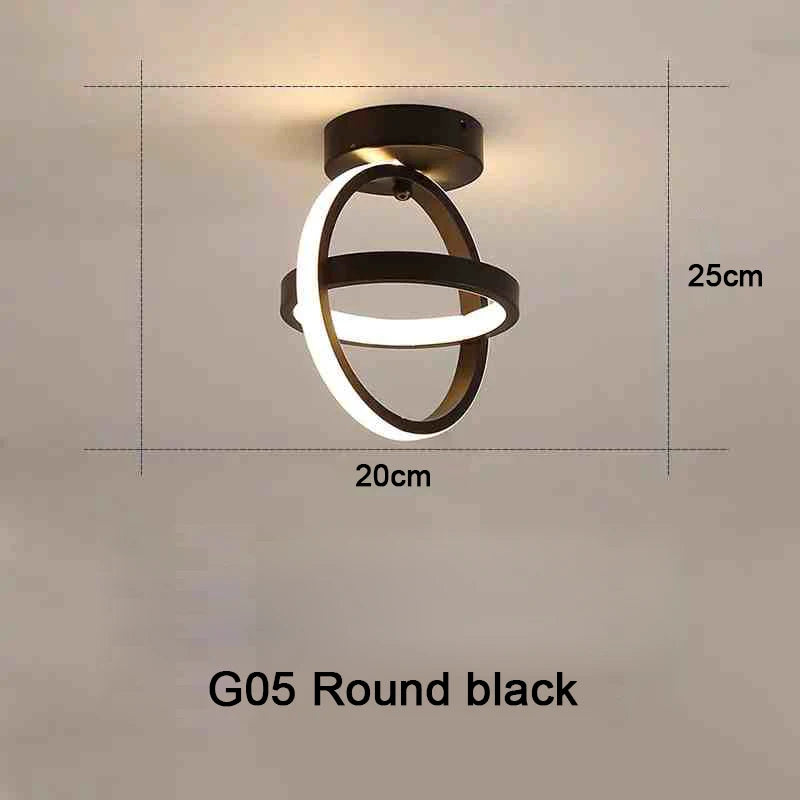 Modern LED Ceiling Light 2 Rings
