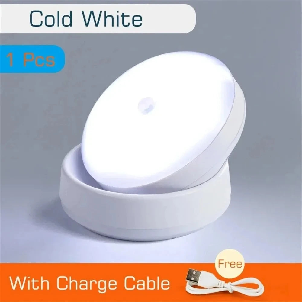 LED Night Light