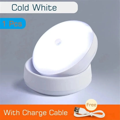 LED Night Light