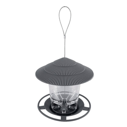 Automatic Feeding Food Container