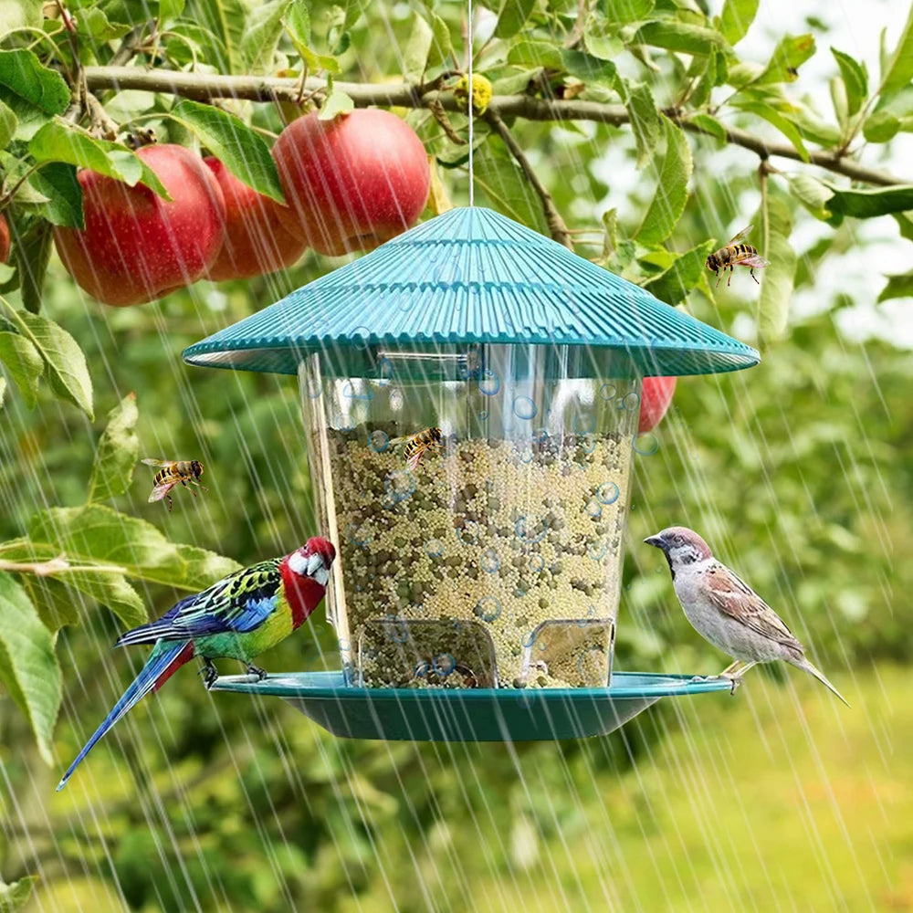 Automatic Feeding Food Container