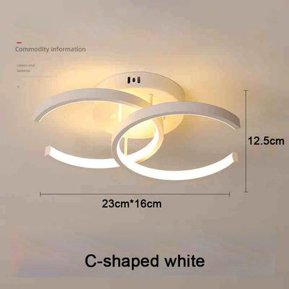 Modern LED Ceiling Light 2 Rings