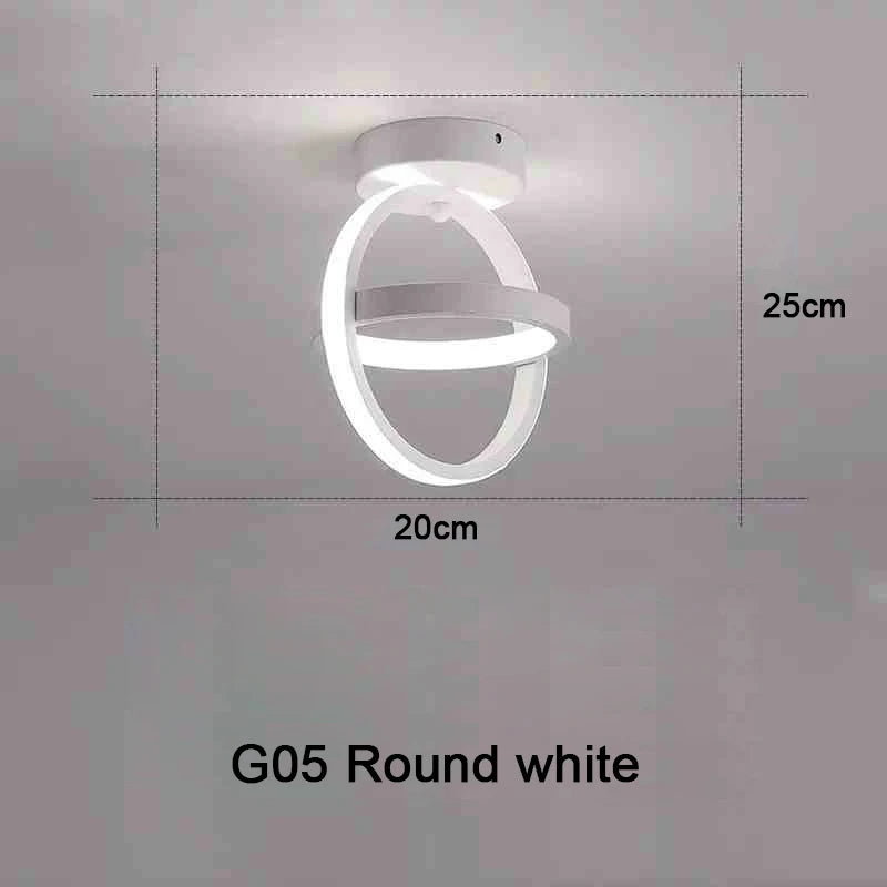 Modern LED Ceiling Light 2 Rings