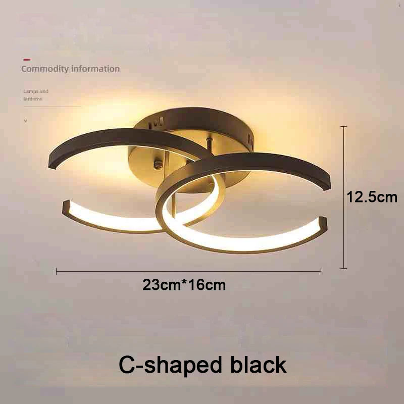 Modern LED Ceiling Light 2 Rings