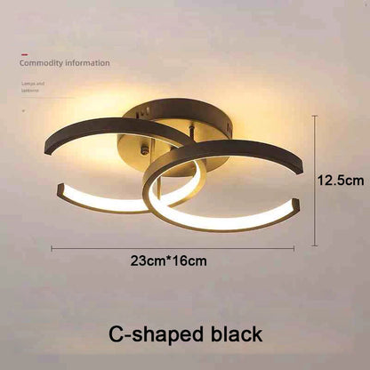 Modern LED Ceiling Light 2 Rings