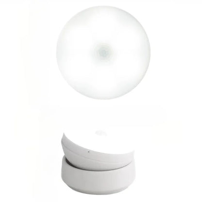 LED Night Light