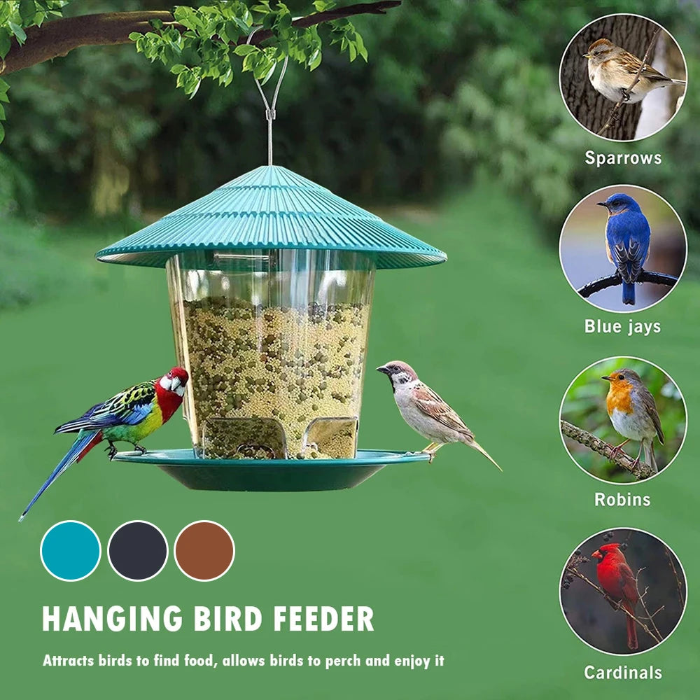 Automatic Feeding Food Container