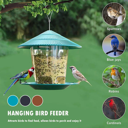 Automatic Feeding Food Container
