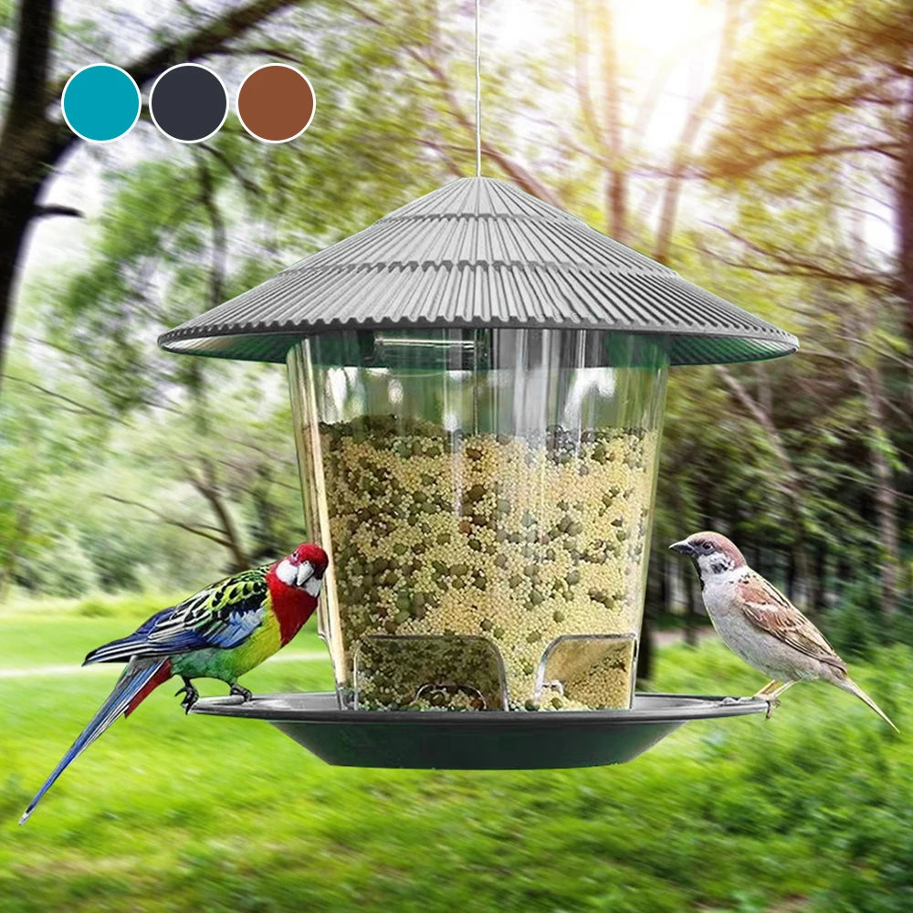 Automatic Feeding Food Container
