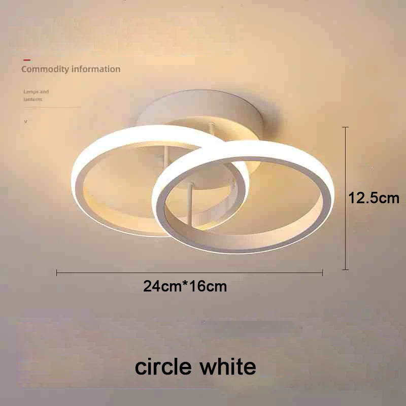 Modern LED Ceiling Light 2 Rings
